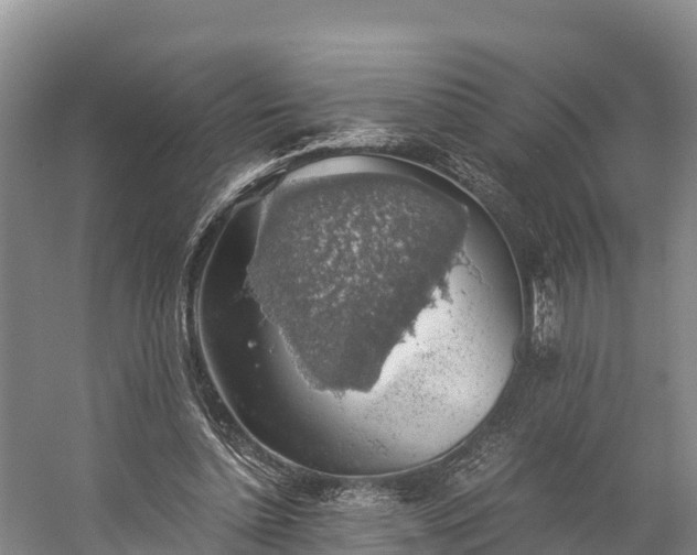 X0000058780348200510071614