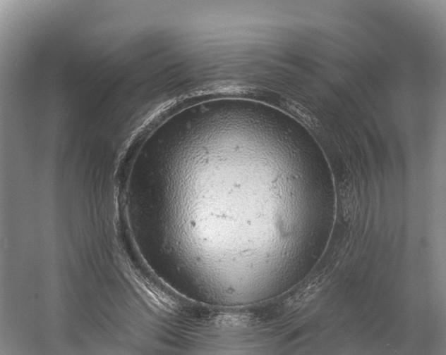 X0000058780350200510071615