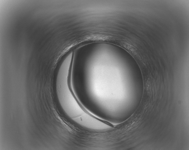 X0000058780352200510071615