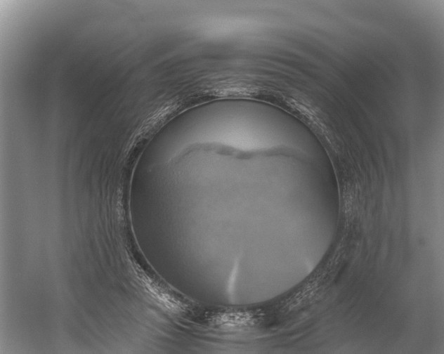 X0000058780353200510071615