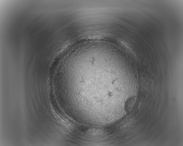 X0000058780354200510071615