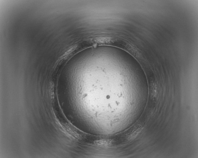 X0000058780356200510071615