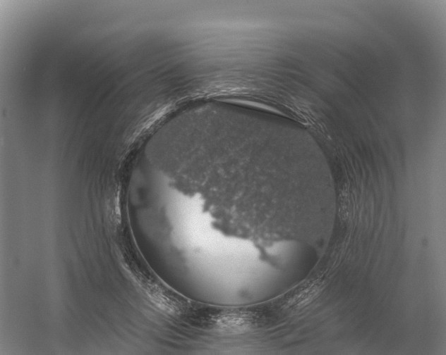 X0000058780358200510071615