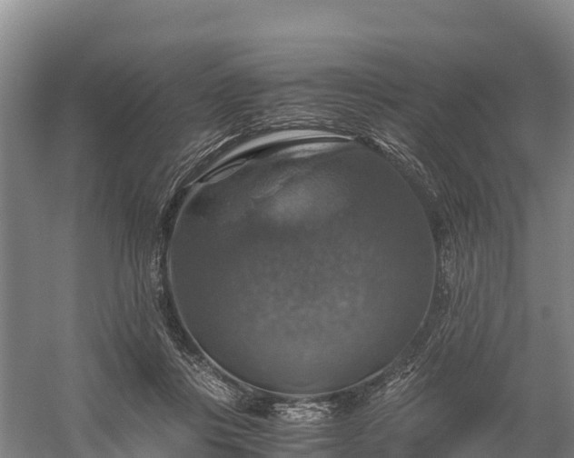 X0000058780359200510071615