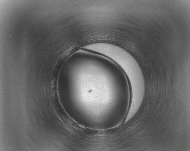 X0000058780360200510071615