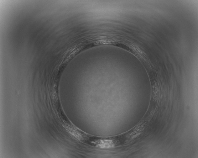 X0000058780361200510071615