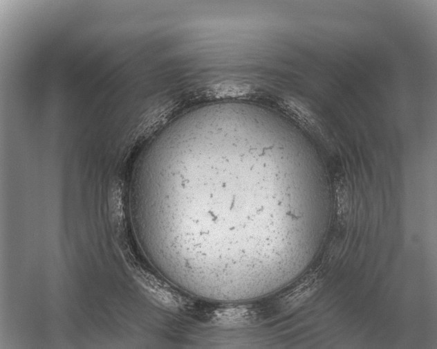 X0000058780362200510071615