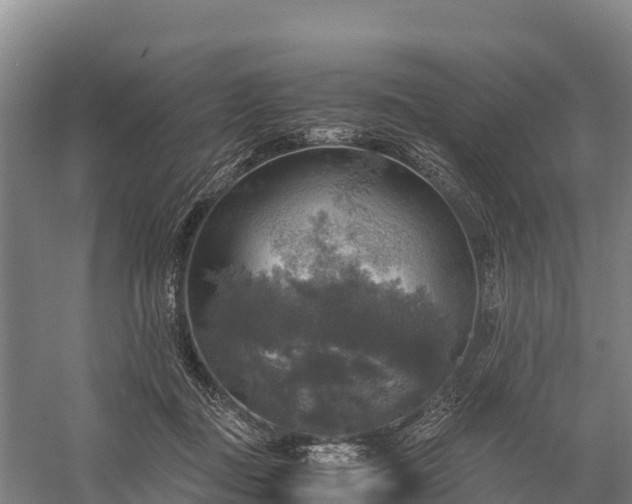 X0000058780363200510071615