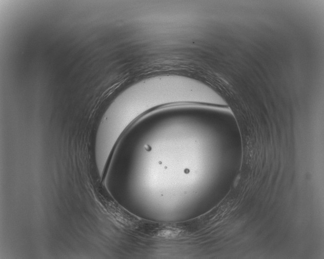 X0000058780364200510071615