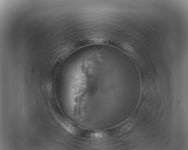 X0000058780365200510071615