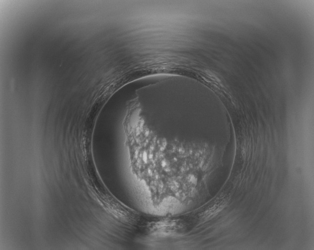 X0000058780366200510071615