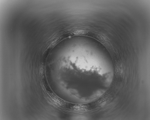 X0000058780367200510071615