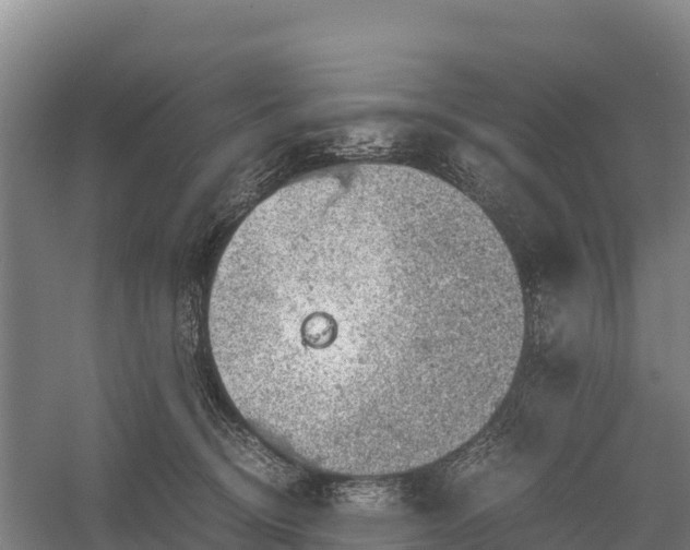 X0000058780370200510071615