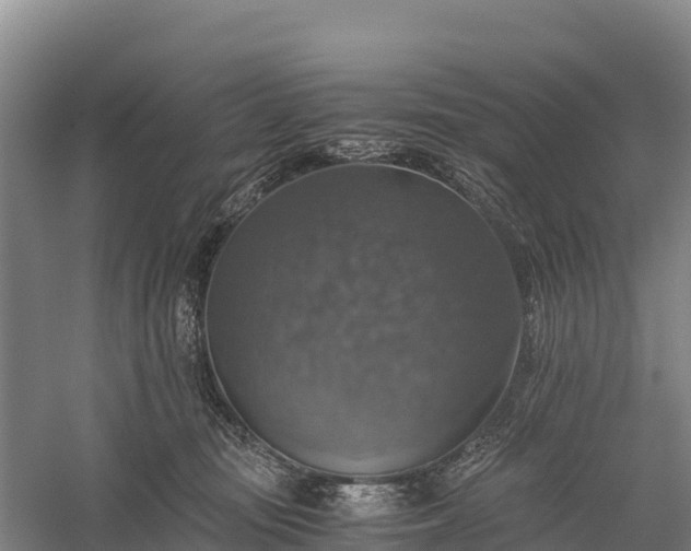 X0000058780371200510071615