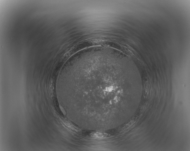 X0000058780372200510071615