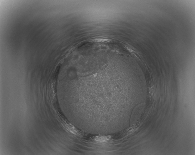 X0000058780373200510071615