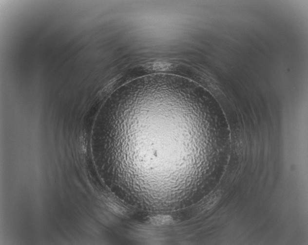 X0000058780374200510071615