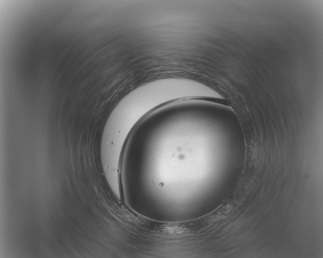 X0000058780376200510071615