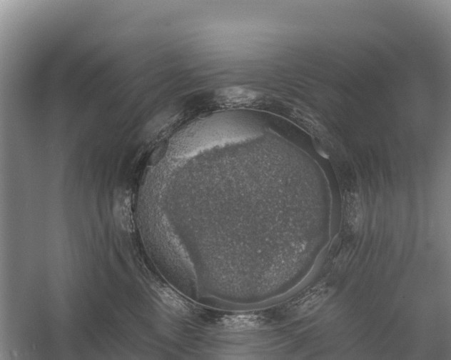 X0000058780378200510071615