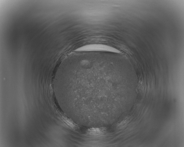 X0000058780381200510071615