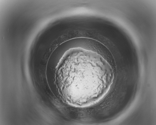 X0000058780382200510071615