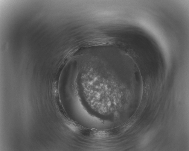 X0000058780383200510071615