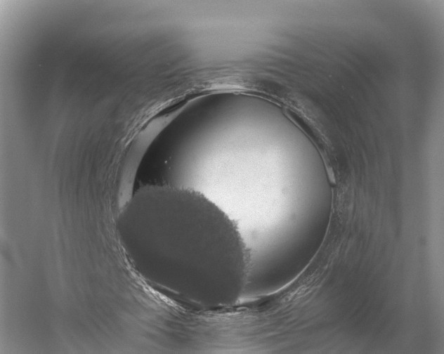 X0000058780385200510071614