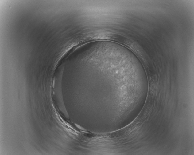 X0000058780386200510071614