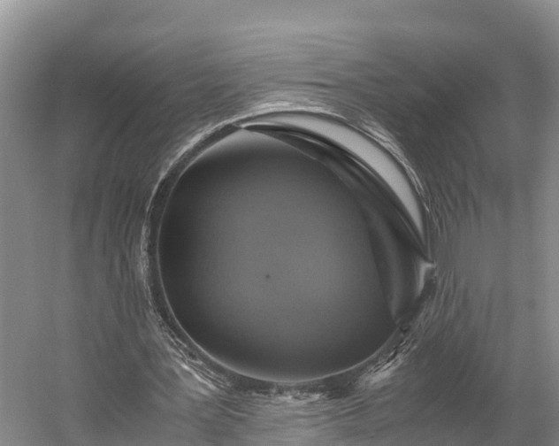 X0000058780387200510071614