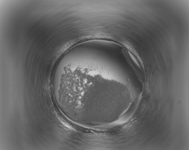 X0000058780389200510071614