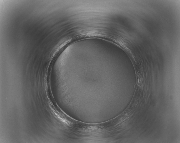 X0000058780390200510071614