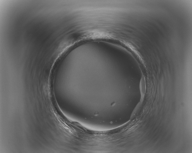 X0000058780391200510071614