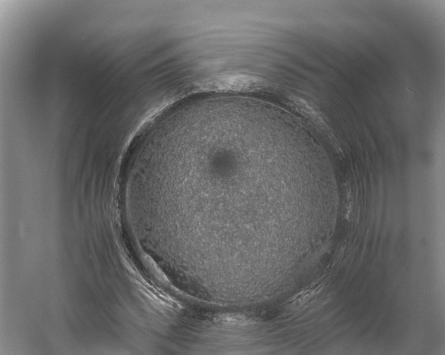 X0000058780392200510071614