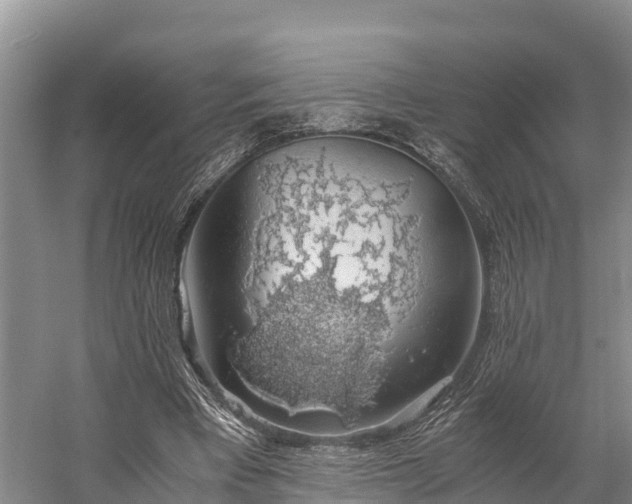 X0000058780393200510071614