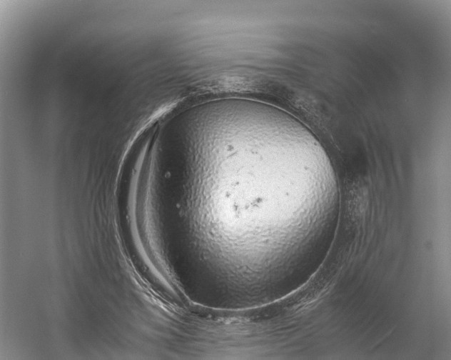 X0000058780395200510071614