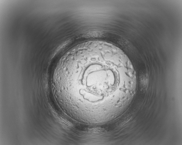 X0000058780396200510071614