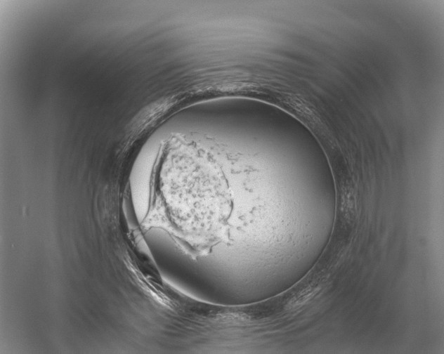 X0000058780397200510071614