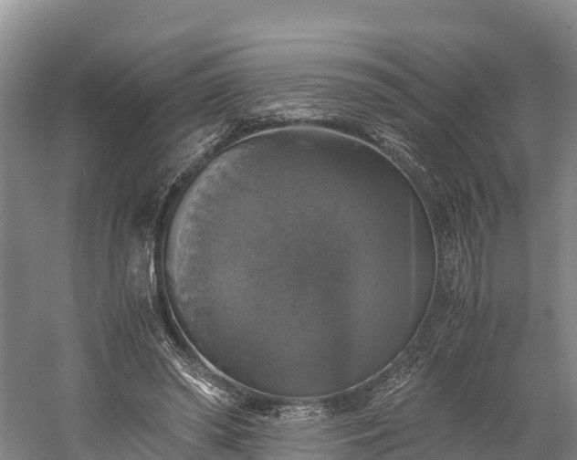 X0000058780398200510071614