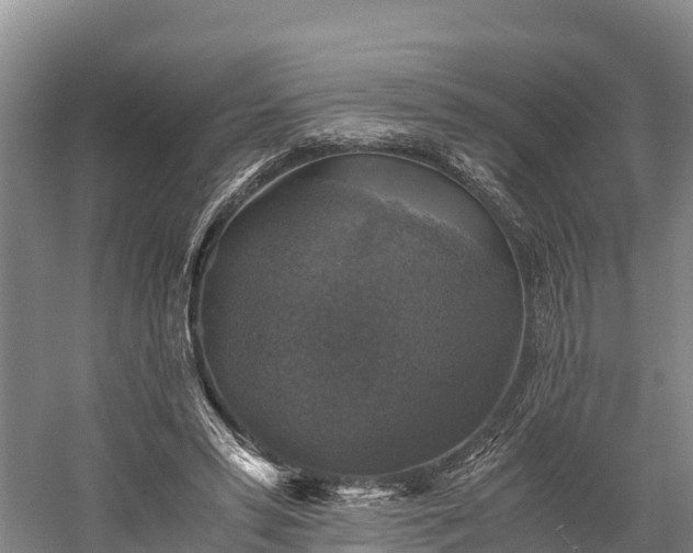 X0000058780399200510071614