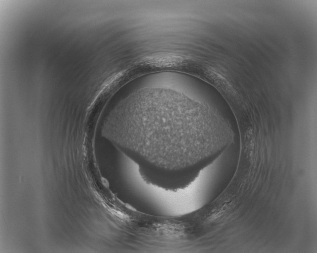 X0000058780400200510071614