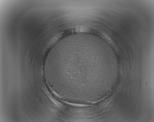 X0000058780401200510071614