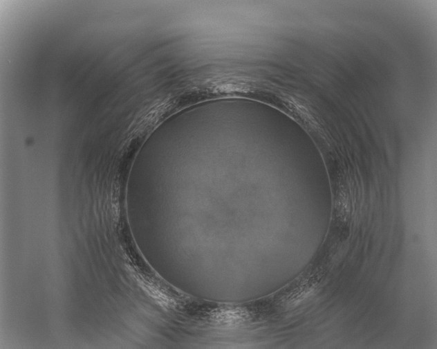 X0000058780402200510071614