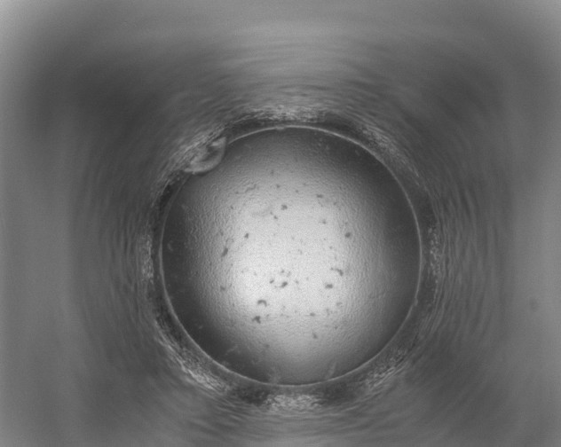 X0000058780403200510071614