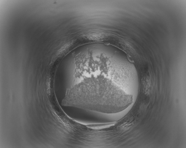 X0000058780404200510071614