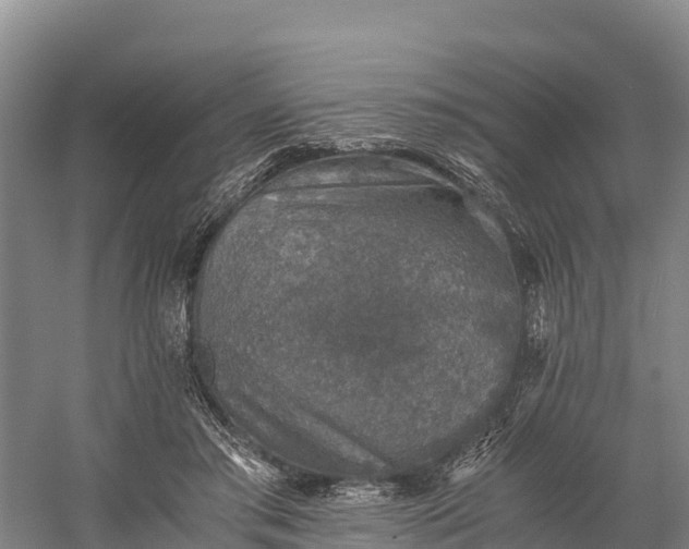 X0000058780405200510071614