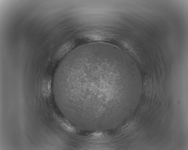 X0000058780406200510071614