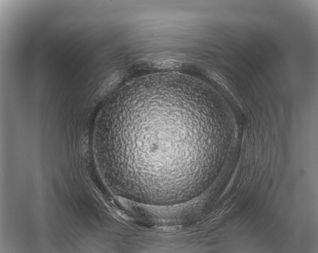 X0000058780407200510071614