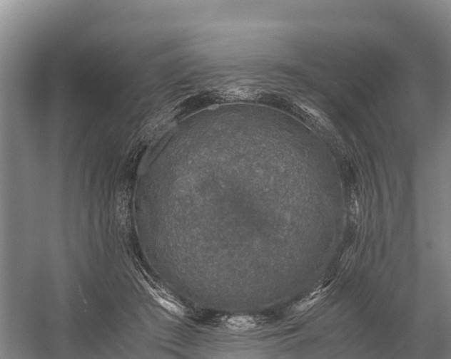 X0000058780409200510071614