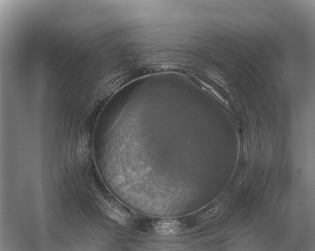 X0000058780410200510071614