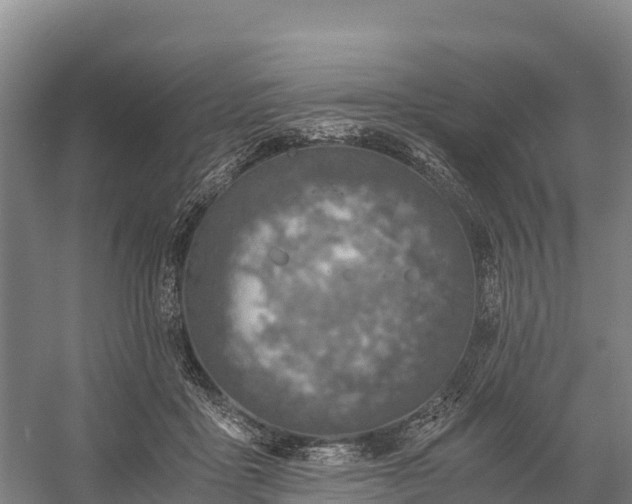 X0000058780411200510071614